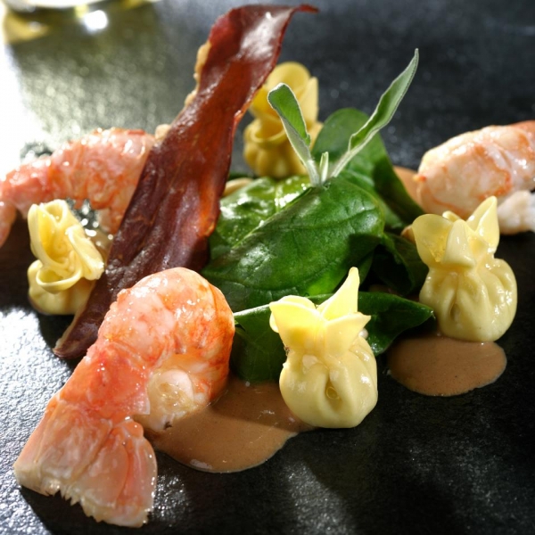 joel-schaeffer-plat